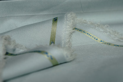 Riyasat – Powder Blue