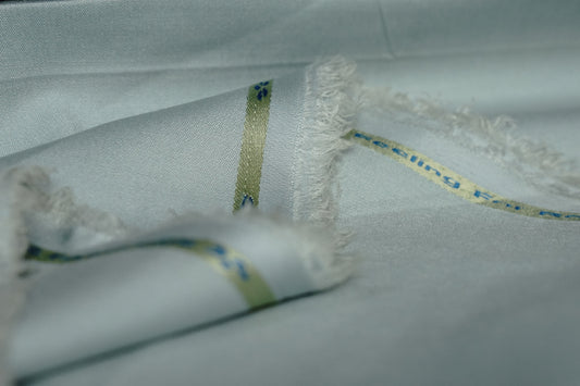 Riyasat – Powder Blue