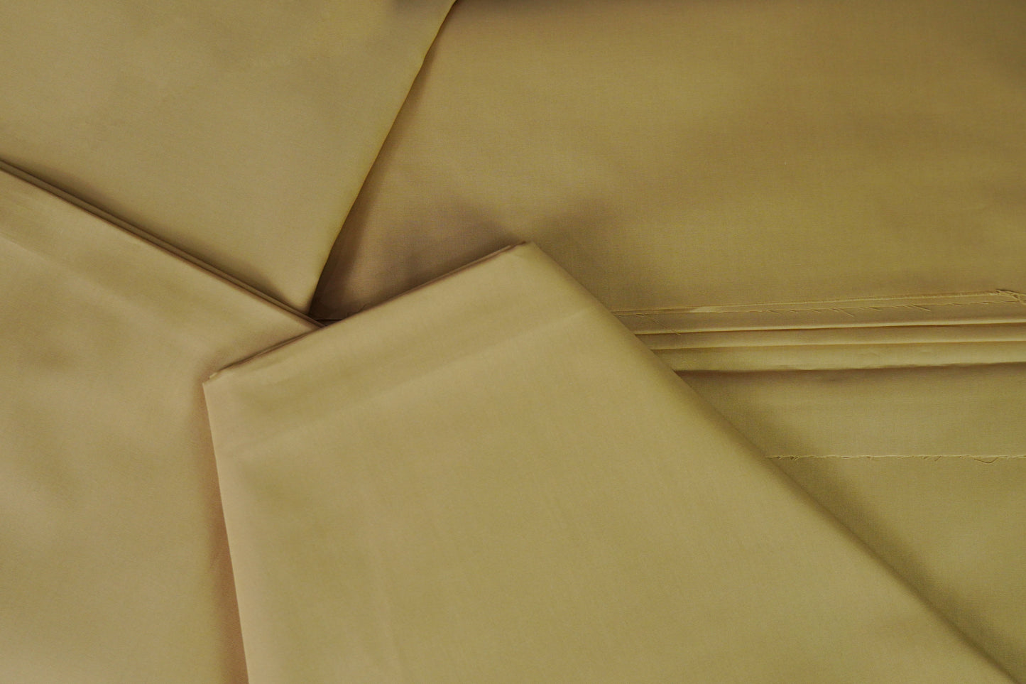 The Executive Standard Cotton – Mustard